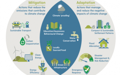 Adaptation and mitigation synergies gap: a problem and an opportunity