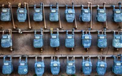 The effects of disruptive scenarios in basic supplies consumptions
