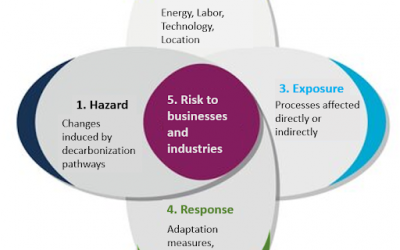 Provisional framework for business vulnerability assessment to decarbonization pathways